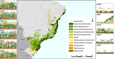 How does land use cover change affect hydrological response in the Atlantic Forest? Implications for ecological restoration